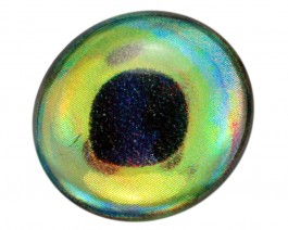 3D Epoxy Fish Eyes, Holographic Dorado, 15 mm